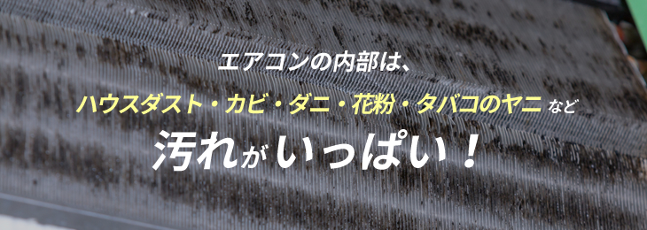 エアコンの内部は、  ハウスダスト・カビ・ダニ・花粉・タバコのヤニ  など 汚れがいっぱい！