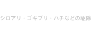 害虫駆除 シロアリ・ゴキブリ・ハチなどの駆除