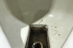 トイレの尿石除去